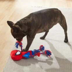 Marvel 's Captain America Plush With Rope Squeaky Dog Toy + 3 Items -Pet Toys Shop 929454 PT6. AC SS1800 V1690899555