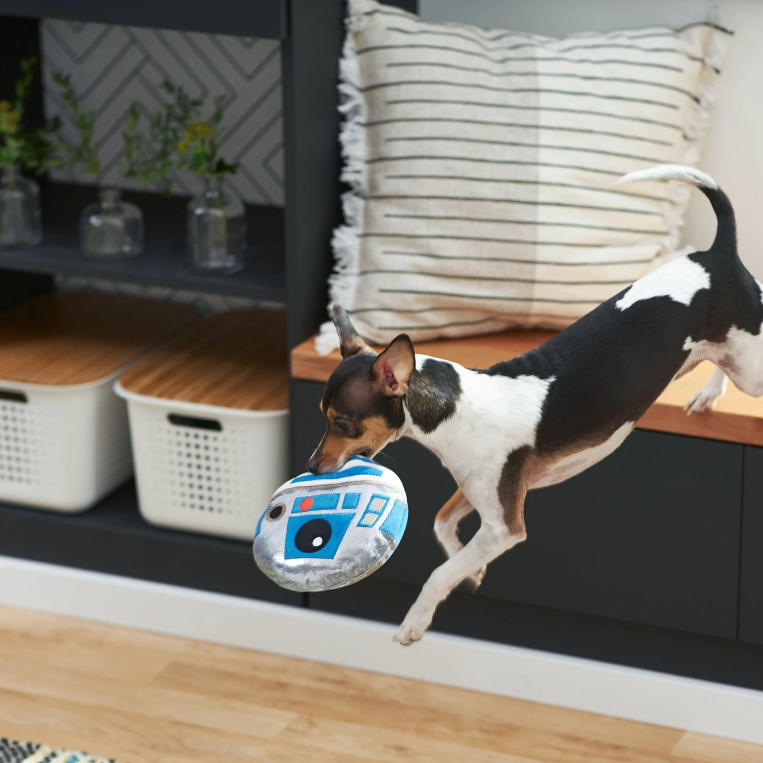 STAR WARS CHEWBACCA Round Plush Squeaky Dog Toy + 2 Items 7 STAR WARS CHEWBACCA Round Plush Squeaky Dog Toy + 2 Items - Image 7