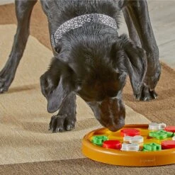 Brightkins Pizza Party! Treat Puzzle Dog Toy -Pet Toys Shop 930086 PT3. AC SS1800 V1698765996