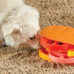 Brightkins Pupstrami Surprise! Treat Puzzle Dog Toy -Pet Toys Shop 930102 PT3. AC SS1800 V1698765990