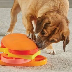 Brightkins Pupstrami Surprise! Treat Puzzle Dog Toy -Pet Toys Shop 930102 PT4. AC SS1800 V1698765995