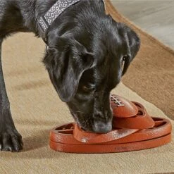 Brightkins Touchdown Time! Treat Puzzle Dog Toy -Pet Toys Shop 930118 PT3. AC SS1800 V1698766048