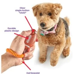 Brightkins Smarty Pooch! Training Clicker Football Dog Toy -Pet Toys Shop 930198 PT3. AC SS1800 V1698765996