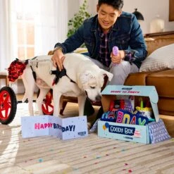 Goody Box Birthday Dog Toys & Treats & Pooch Creamery Peanut Butter Flavor Ice Cream Mix Dog Treat, 5.25-oz Cup -Pet Toys Shop 933310 PT4. AC SS1800 V1692303788