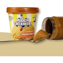 Goody Box Birthday Dog Toys & Treats & Pooch Creamery Peanut Butter Flavor Ice Cream Mix Dog Treat, 5.25-oz Cup -Pet Toys Shop 933310 PT7. AC SS1800 V1692305509