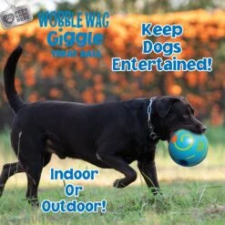 Wobble Wag Giggle Treat Dispensing Squeaky Ball Dog Toy, Blue -Pet Toys Shop 939670 PT6. AC SS1800 V1692635419