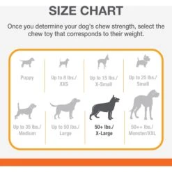 Nylabone Power Chew Chicken Lovers Dog Chew Toys, Camo & Pink, X-Large, 2 Count -Pet Toys Shop 939758 PT5. AC SS1800 V1692280372