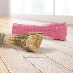 Nylabone Power Chew Chicken Lovers Dog Chew Toys, Camo & Pink, X-Large, 2 Count -Pet Toys Shop 939758 PT6. AC SS1800 V1692280867