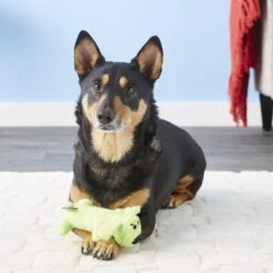 Multipet Loofa Dog The Original Squeaky Plush Dog Toy, Color Varies & Multipet Gumby Plush Squeaky Dog Toy 13 Multipet Loofa Dog The Original Squeaky Plush Dog Toy, Color Varies & Multipet Gumby Plush Squeaky Dog Toy -Pet Toys Shop 947422 PT4. AC SS1800 V1693600278