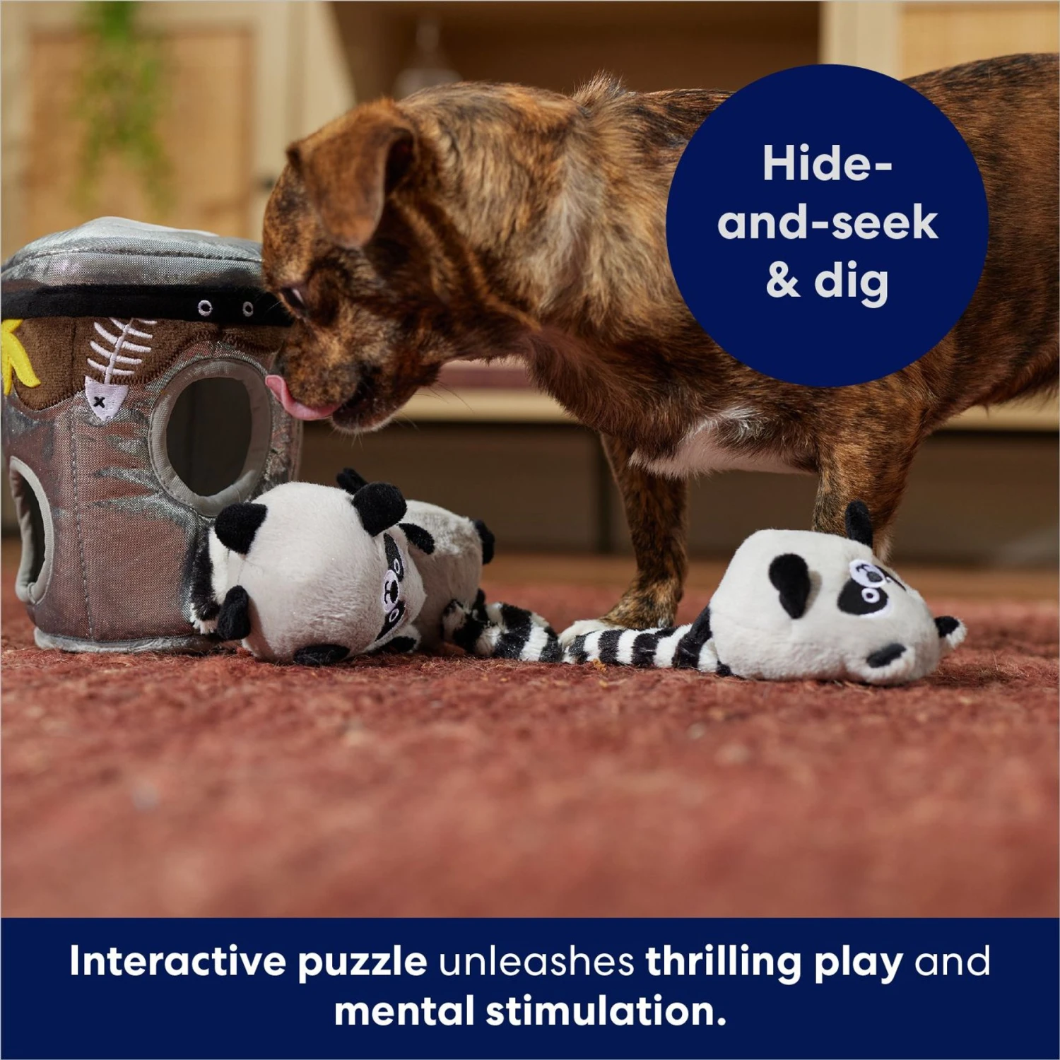 Frisco Trash Can & Raccoons Hide & Seek Puzzle Plush Squeaky Dog Toy & ZippyPaws Burrow Squeaky Hide & Seek Plush Dog Toy, Hedgehog Den 5 Frisco Trash Can & Raccoons Hide & Seek Puzzle Plush Squeaky Dog Toy & ZippyPaws Burrow Squeaky Hide & Seek Plush Dog Toy, Hedgehog Den - Image 5