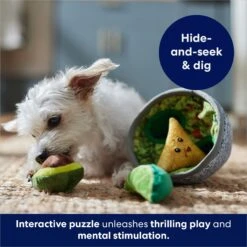 Frisco Trash Can & Raccoons Hide & Seek Puzzle Plush Squeaky Dog Toy & Frisco Guacamole Hide & Seek Puzzle Plush Squeaky Dog Toy -Pet Toys Shop 962062 PT8. AC SS1800 V1694783037