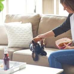 Frisco Corndog Interactive Plush Squeaky Dog Toy & Frisco Guacamole Hide & Seek Puzzle Plush Squeaky Dog Toy 12 Frisco Corndog Interactive Plush Squeaky Dog Toy & Frisco Guacamole Hide & Seek Puzzle Plush Squeaky Dog Toy -Pet Toys Shop 962086 PT3. AC SS1800 V1694782979