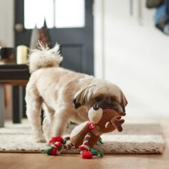 Frisco Holiday Reindeer Plush With Rope Squeaky Dog Toy & Frisco Holiday Lights Plush With Rope Squeaky Dog Toy 12 Frisco Holiday Reindeer Plush With Rope Squeaky Dog Toy & Frisco Holiday Lights Plush With Rope Squeaky Dog Toy -Pet Toys Shop 986134 PT4. AC SS1800 V1698258055