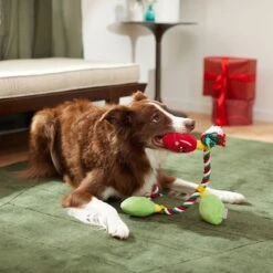 Frisco Holiday Reindeer Plush With Rope Squeaky Dog Toy & Frisco Holiday Lights Plush With Rope Squeaky Dog Toy 15 Frisco Holiday Reindeer Plush With Rope Squeaky Dog Toy & Frisco Holiday Lights Plush With Rope Squeaky Dog Toy -Pet Toys Shop 986134 PT8. AC SS1800 V1698258405