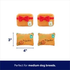 Frisco Holiday Hot Cocoa Hide & Seek Puzzle Plush Squeaky Dog Toy & Frisco Holiday North Pole Mailbox Hide & Seek Puzzle Plush Squeaky Dog Toy -Pet Toys Shop 986166 PT7. AC SS1800 V1698258463