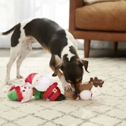 Frisco Holiday Santa's Helpers Plush Squeaky Dog Toy, 3 Count & Frisco Holiday Ho Ho Ho Fetch Squeaky Tennis Ball Dog Toy 11 Frisco Holiday Santa's Helpers Plush Squeaky Dog Toy, 3 Count & Frisco Holiday Ho Ho Ho Fetch Squeaky Tennis Ball Dog Toy -Pet Toys Shop 986214 PT4. AC SS1800 V1698257790