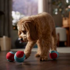 Frisco Holiday Ho Ho Ho Fetch Squeaky Tennis Ball Dog Toy & Frisco Holiday Arctic Friends Stuffing-Free Skinny Plush Squeaky Dog Toy -Pet Toys Shop 986310 PT4. AC SS1800 V1698257790