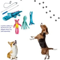 Pet Fit For Life Squeaky Plush Dog Toy For Alligator Wand, 3 Count -Pet Toys Shop 987270 PT2. AC SS1800 V1699648335