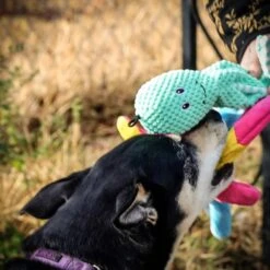 Pet Fit For Life Squeaky Plush Dog Toy For Alligator Wand, 3 Count -Pet Toys Shop 987270 PT3. AC SS1800 V1699648334