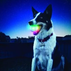 Nite Ize GlowStreak LED Ball Dog Toy 10 Nite Ize GlowStreak LED Ball Dog Toy -Pet Toys Shop 99572 PT3. AC SS1800 V1518637896