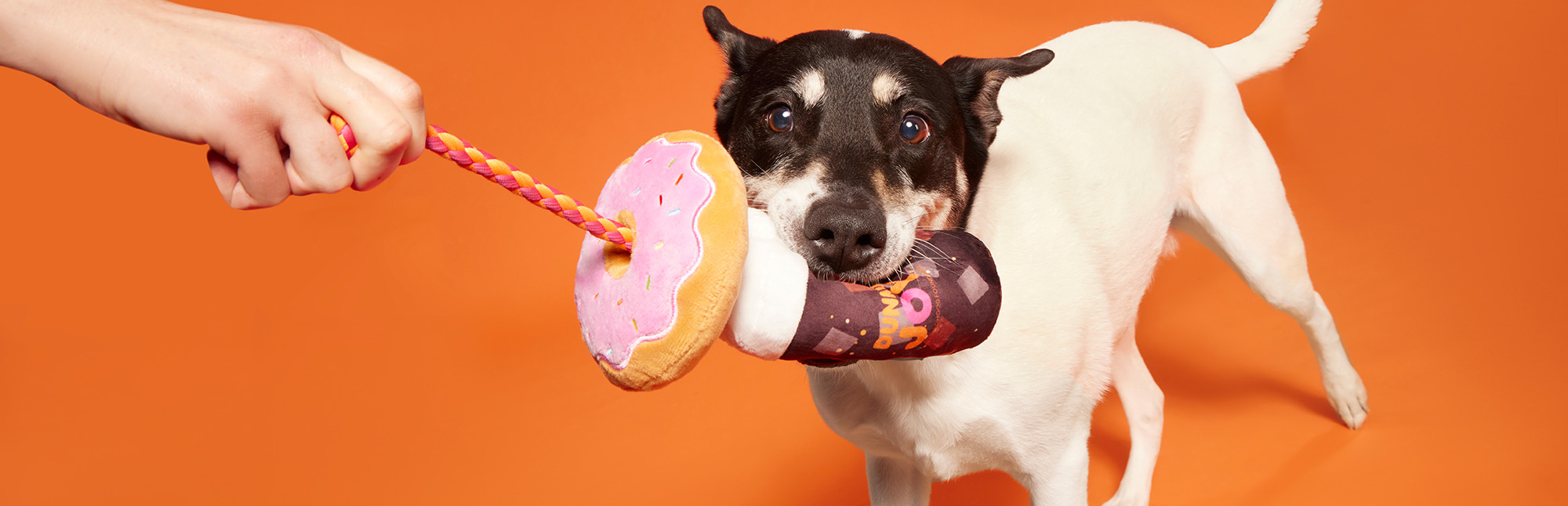 Pet Toys Shop -Pet Toys Shop 1